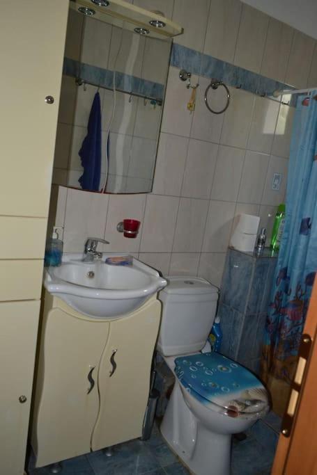 Vasiliki's Cosy House Apartment *